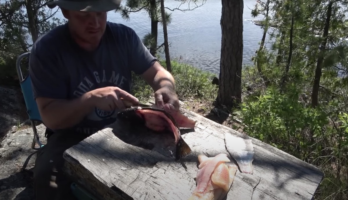 flipped fillet of fish